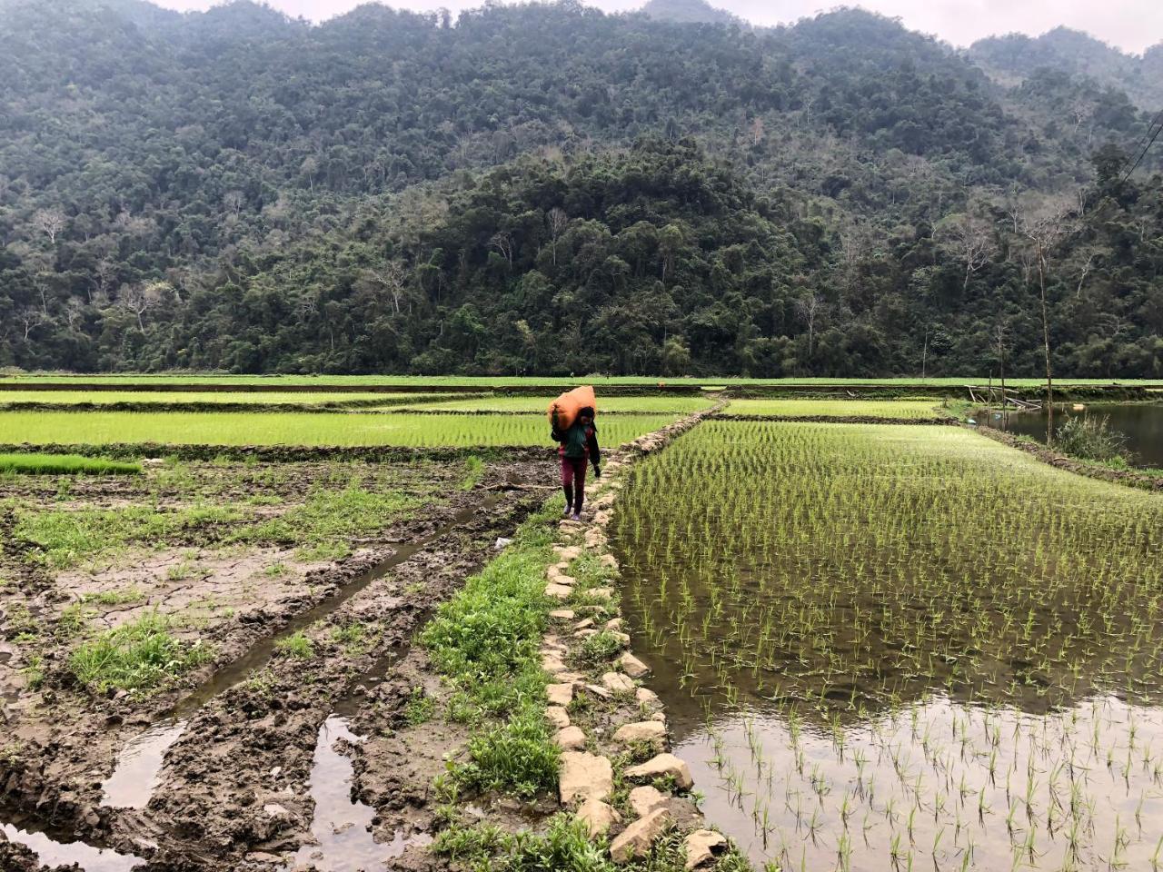Ba Be Lake View Homestay An Ma Bagian luar foto